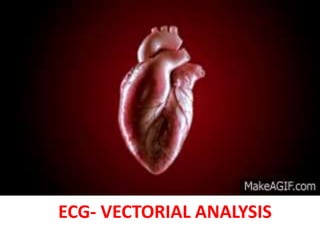 ECG- VECTORIAL ANALYSIS
 