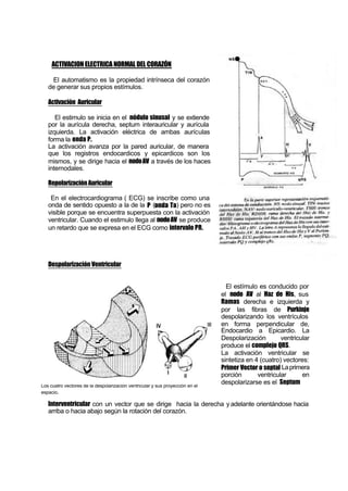 ACTIVACION ELECTRICA NORMAL DEL CORAZÓN
El automatismo es la propiedad intrínseca del corazón
de generar sus propios estímulos.
Activación Auricular
El estimulo se inicia en el nódulo sinusal y se extiende
por la aurícula derecha, septum interauricular y aurícula
izquierda. La activación eléctrica de ambas aurículas
forma la onda P.
La activación avanza por la pared auricular, de manera
que los registros endocardicos y epicardicos son los
mismos, y se dirige hacia el nodoAV a través de los haces
internodales.
Repolarización Auricular
En el electrocardiograma ( ECG) se inscribe como una
onda de sentido opuesto a la de la P (onda Ta) pero no es
visible porque se encuentra superpuesta con la activación
ventricular. Cuando el estimulo llega al nodoAV se produce
un retardo que se expresa en el ECG como intervalo PR.
Despolarización Ventricular
El estímulo es conducido por
el nodo AV al Haz de His, sus
Ramas derecha e izquierda y
por las fibras de Purkinje
despolarizando los ventrículos
en forma perpendicular de,
Endocardio a Epicardio. La
Despolarización ventricular
produce el complejo QRS.
La activación ventricular se
sintetiza en 4 (cuatro) vectores:
Primer Vector o septal Laprimera
porción ventricular en
despolarizarse es el Septum
Interventricular con un vector que se dirige hacia la derecha y adelante orientándose hacia
arriba o hacia abajo según la rotación del corazón.
Los cuatro vectores de la despolarización ventricular y sus proyección en el
espacio.
 