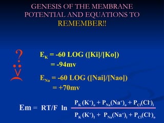 GENESIS OF THE MEMBRANE
    POTENTIAL AND EQUATIONS TO
            REMEMBER!!



?      EK = -60 LOG ([Ki]/[Ko])
          = -94mv
:>(



       ENa = -60 LOG ([Nai]/[Nao])
           = +70mv
                 PK (K+)o + PNa(Na+)o + PCl(Cl-)i
 Em = RT/F ln
                 PK (K+)I + PNa(Na+)i + PCl(Cl-)o
 