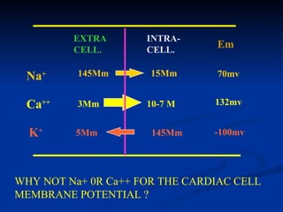 EXTRA       INTRA-
         CELL.       CELL.
                                Em

 Na+      145Mm       15Mm      70mv


 Ca++     3Mm        10-7 M     132mv


  K+     5Mm          145Mm     -100mv




WHY NOT Na+ 0R Ca++ FOR THE CARDIAC CELL
MEMBRANE POTENTIAL ?
 
