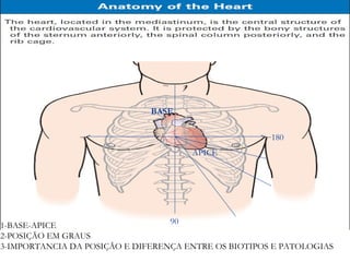 BASE

                                                      180
                                      APICE




1-BASE-APICE                      90
2-POSIÇÃO EM GRAUS
3-IMPORTANCIA DA POSIÇÃO E DIFERENÇA ENTRE OS BIOTIPOS E PATOLOGIAS
 