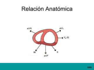 Relación Anatómica