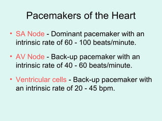 Ecg 1 | PPT