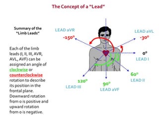 Electrocardiography | PPTX