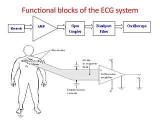 Functional blocks of the ECG system
 