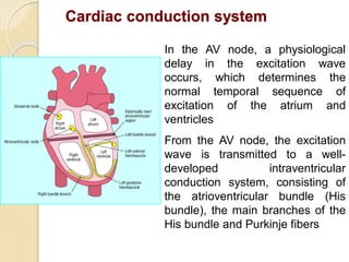 Comprehensive Introduction to Clinical Electrocardiography and ECG ...