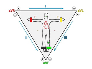 ECG analysis part (1) \ Mohammad Al-me`ani. , MSN, RN. | PPT
