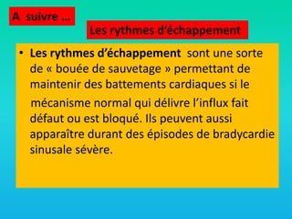 A suivre …
Les rythmes d’échappement
• Les rythmes d’échappement sont une sorte
de « bouée de sauvetage » permettant de
maintenir des battements cardiaques si le
mécanisme normal qui délivre l’influx fait
défaut ou est bloqué. Ils peuvent aussi
apparaître durant des épisodes de bradycardie
sinusale sévère.

 
