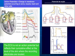 Action Potentials = Change in membrane
potential occurring in nerve, muscle, heart and
other cells




The ECG is not an action potential but
reflects their cumulative effect at the
level of the skin where the recording
electrodes are located.
 