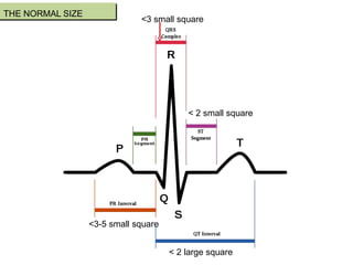 THE NORMAL SIZE
<3 small square
<3-5 small square
< 2 large square
< 2 small square
 