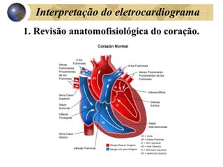 Interpretação do eletrocardiograma
1. Revisão anatomofisiológica do coração.
 