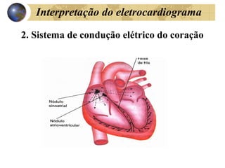 Interpretação do eletrocardiograma
2. Sistema de condução elétrico do coração
 