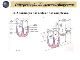 Interpretação do eletrocardiograma
3. A formação das ondas e dos complexos.
 