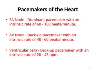 nursing cardiology ECG AND DYSRHYTHMIAS.ppt