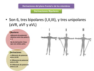 Derivaciones del plano frontal o de los miembros
• Son 6, tres bipolares (I,II,III), y tres unipolares
(aVR, aVF y aVL)
Bipolares
Diferencia de potencial
eléctrico entre dos polos (+
y -)
Eje de derivación: línea
que une ambos polos
Derivaciones
I: diferencia de potencial
entre LA-RA
II: Diferencia de potencial
entre LL-RA
III: Diferencia de potencial
entre LL-LA
Derivaciones Bipolares
 