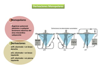 Derivaciones Monopolares
Monopolares
Registran potencial
absoluto y cualquier
fenómeno eléctrico del
área miocárdica
subyacente
Derivaciones
aVR: electrodo + en brazo
derecho
aVL: electrodo + en brazo
izquierdo
aVF: electrodo + en pierna
izquierda
 