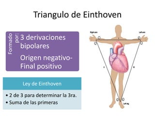 Triangulo de Einthoven
Ley de Einthoven
• 2 de 3 para determinar la 3ra.
• Suma de las primeras
Formado
por:
3 derivaciones
bipolares
Origen negativo-
Final positivo
 