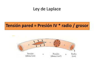 Ley de Laplace
Tensión pared = Presión IV * radio / grosor
 