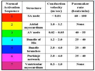 BASICS OF ECG | PPT