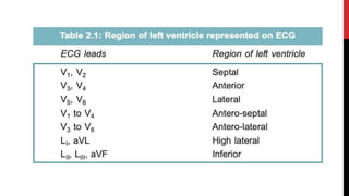 ECG Basic.pptx