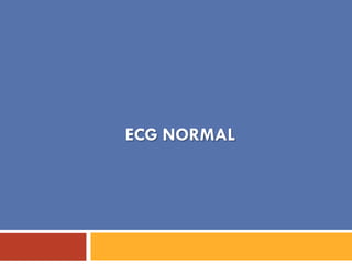ECG NORMAL
 