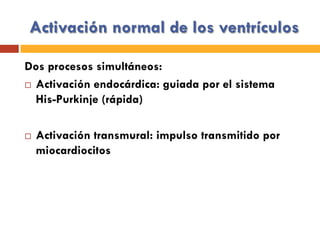 Activación normal de los ventrículos
Dos procesos simultáneos:
¨  Activación endocárdica: guiada por el sistema
His-Purkinje (rápida)
¨  Activación transmural: impulso transmitido por
miocardiocitos
 