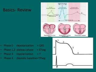 • Phase 0 depolarization = QRS
• Phase 1,2 plateau phase = STseg
• Phase 3 repolarization = T
• Phase 4 diastolic baseline=TPseg
Basics- Review
 