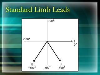 Standard Limb Leads
 