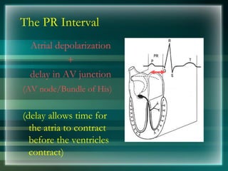 The PR Interval
Atrial depolarization
+
delay in AV junction
(AV node/Bundle of His)
(delay allows time for
the atria to contract
before the ventricles
contract)
 