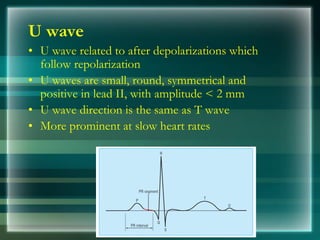U wave
• U wave related to after depolarizations which
follow repolarization
• U waves are small, round, symmetrical and
positive in lead II, with amplitude < 2 mm
• U wave direction is the same as T wave
• More prominent at slow heart rates
 
