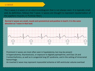 U-WAVE
Prominent U waves are most often seen in hypokalemia, but may be present
in hypercalcemia, thyrotoxicosis, or exposure to digitalis,epinephrine, and Class 1A and
3 antiarrhythmics, as well as in congenital long QT syndrome, and in the setting of intracranial
hemorrhage.
An inverted U wave may represent myocardial ischemia or left ventricular volume overload
The U wave is a wave on an electrocardiogram that is not always seen. It is typically small,
and, by definition, follows the T wave. U waves are thought to represent repolarization of
the papillary muscles or Purkinje fibers
Normal U waves are small, round and symmetrical and positive in lead II. It is the same
direction as T wave in that lead.
 