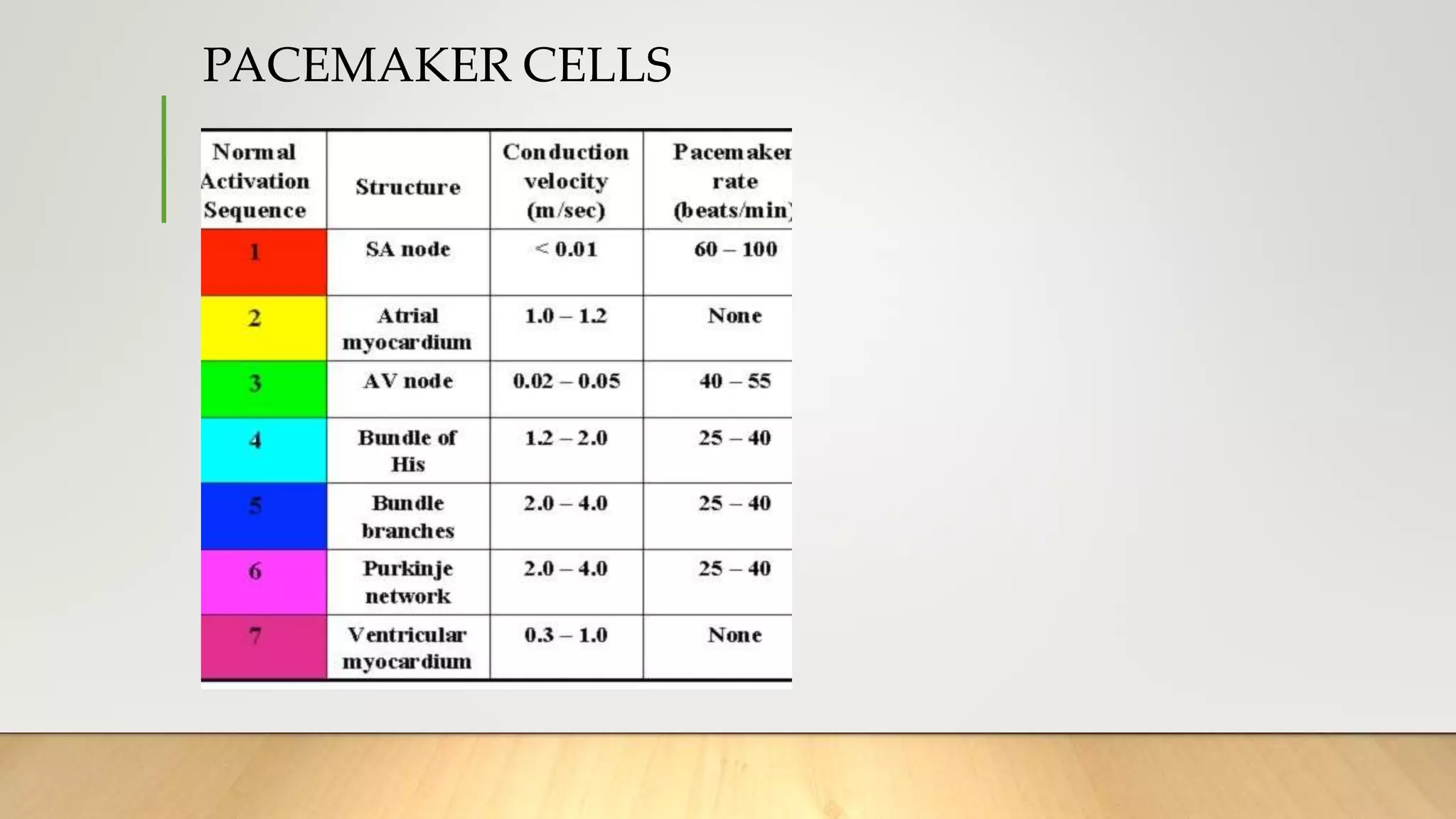 PACEMAKER CELLS
 