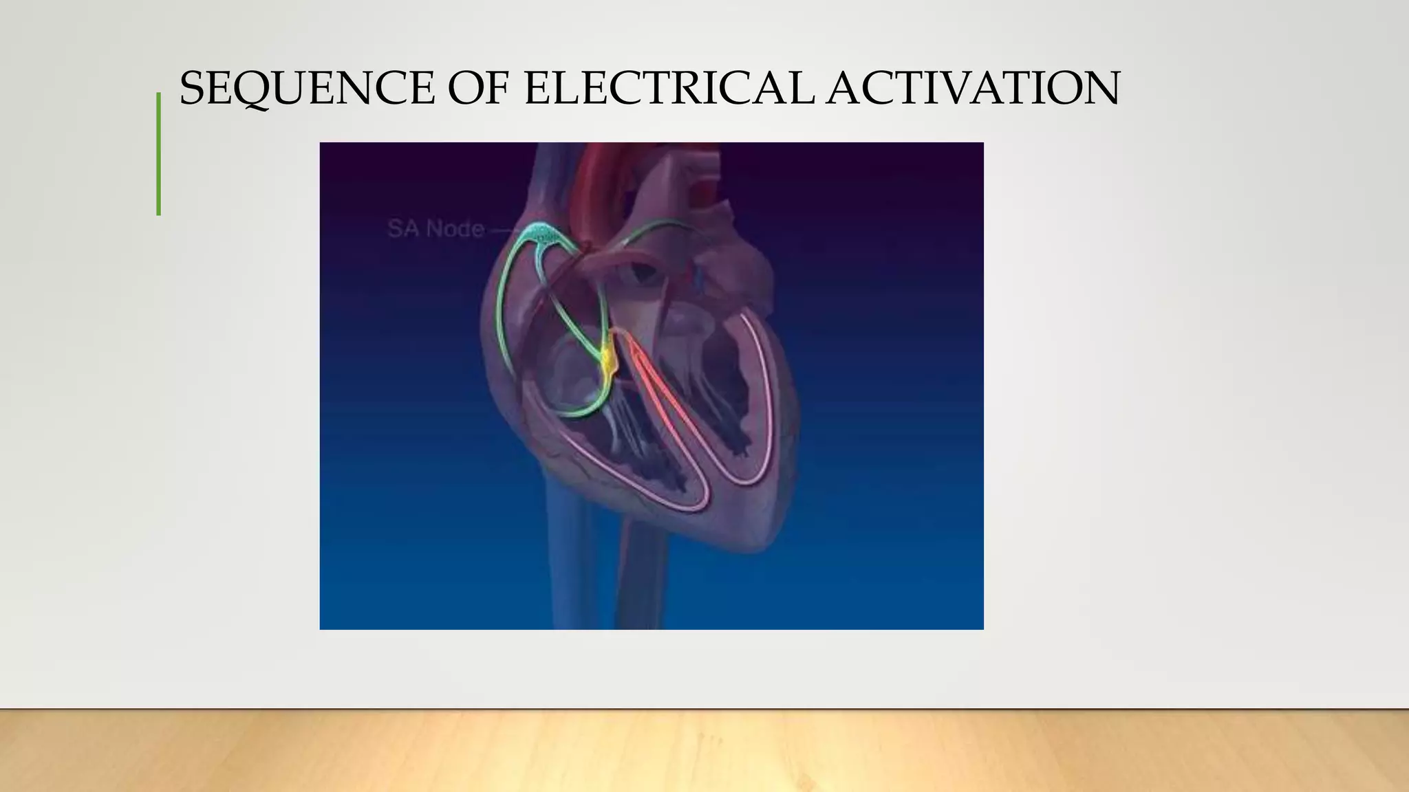 SEQUENCE OF ELECTRICAL ACTIVATION
 