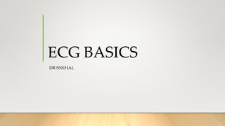 ECG BASICS
DR SNEHAL
 