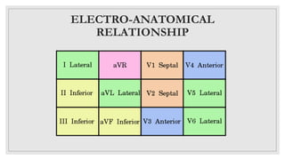 ECG BASICS.pptx