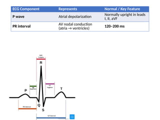 Comprehensive ECG Basics and Acute Coronary Syndrome Interpretation | PPTX