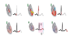 ECG Basics 1.pptx