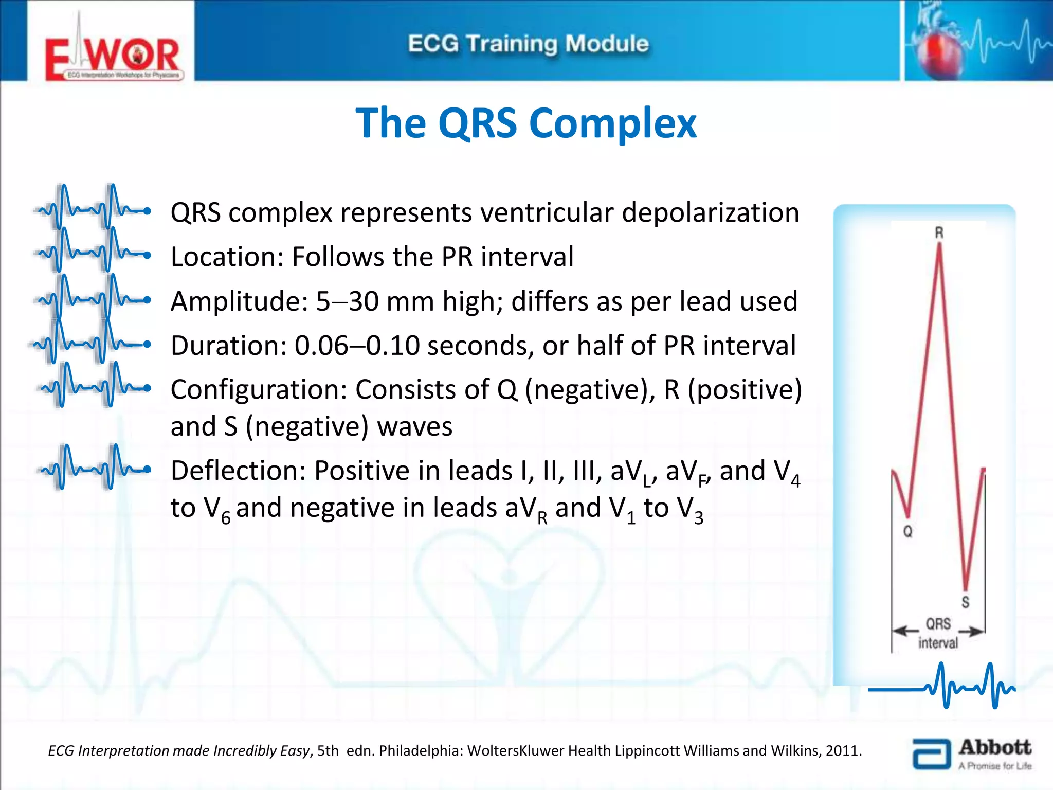 Ecg basics and interpretation | PPTX