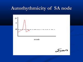 Normal Sa Function Ecg basics & cardicac physiology | PPT
