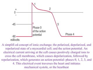 A simplifi ed concept of ionic exchange; the polarized, depolarized, and
repolarized state of a myocardial cell; and the action potential. An
electrical current arriving at the cell causes positively charged ions to
cross the cell membrane, which causes depolarization, followed by
repolarization, which generates an action potential: phases 0, 1, 2, 3, and
4. This electrical event traverses the heart and initiates
mechanical systole, or the heartbeat
 