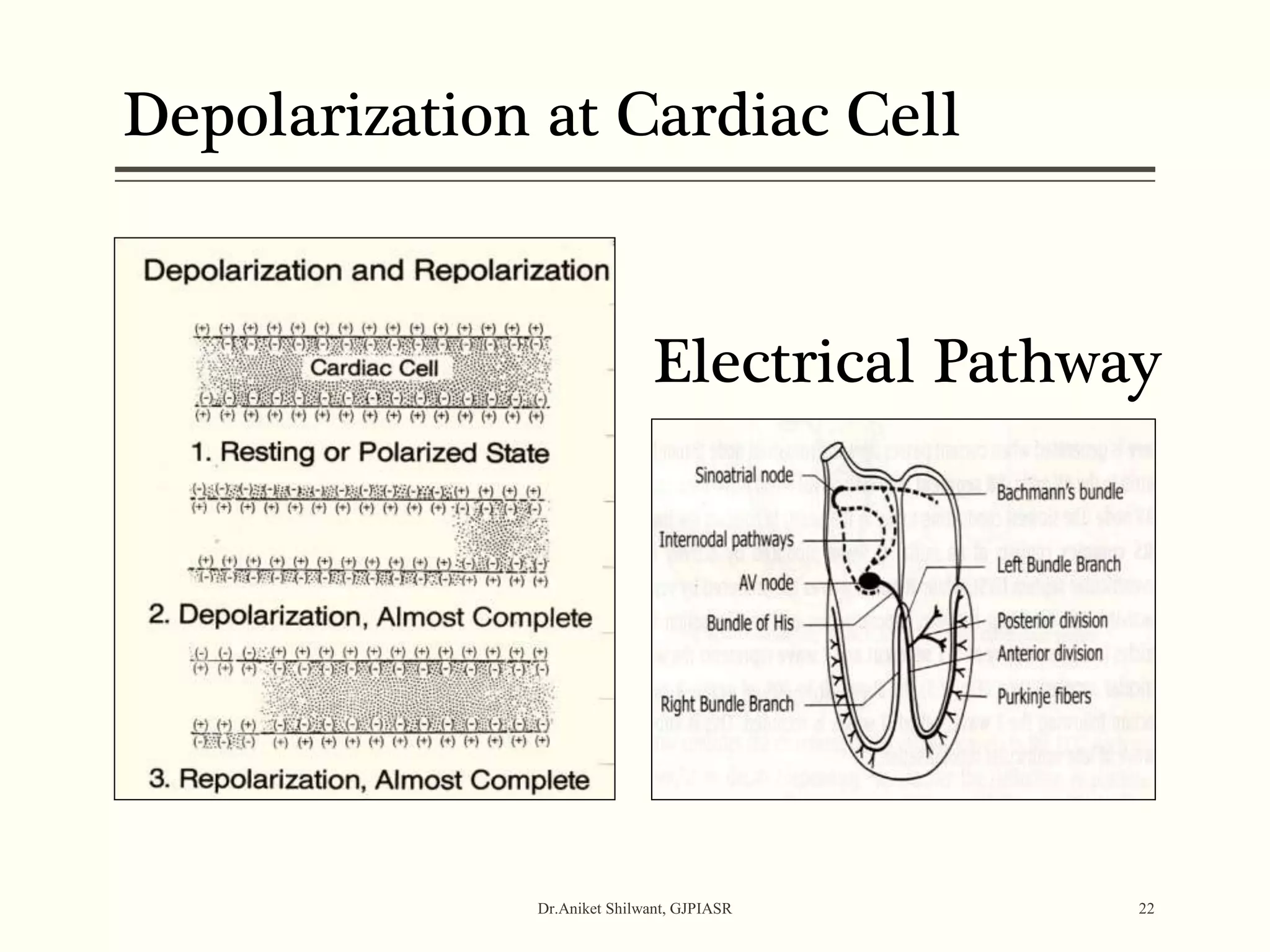 Dr.Aniket Shilwant, GJPIASR 22
Depolarization at Cardiac Cell
Electrical Pathway
 