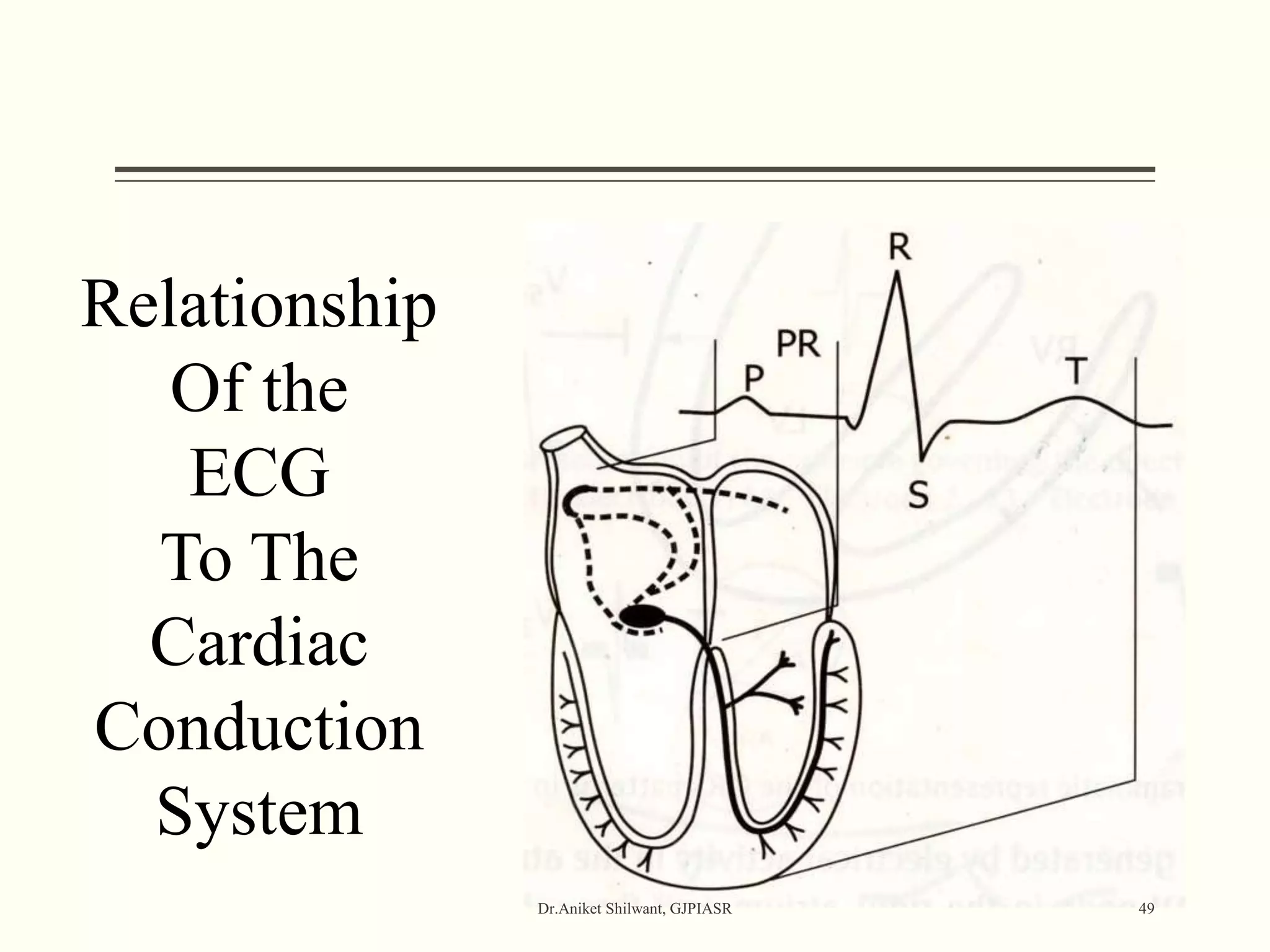 Relationship
Of the
ECG
To The
Cardiac
Conduction
System
Dr.Aniket Shilwant, GJPIASR 49
 