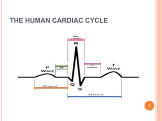 THE HUMAN CARDIAC CYCLE
7
 