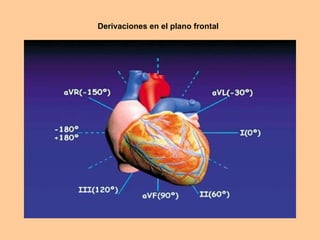Derivaciones en el plano frontal 