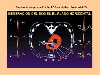 Secuencia de generación del ECG en el plano horizontal (2) 