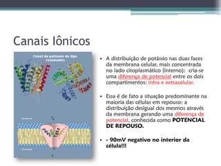 Canais Iônicos
                 • A distribuição de potássio nas duas faces
                   da membrana celular, mais concentrada
                   no lado citoplasmático (interno): cria-se
                   uma diferença de potencial entre os dois
                   compartimentos: intra e extracelular.

                 • Essa é de fato a situação predominante na
                   maioria das células em repouso: a
                   distribuição desigual dos mesmos através
                   da membrana gerando uma diferença de
                   potencial, conhecida como POTENCIAL
                   DE REPOUSO.

                 • - 90mV negativo no interior da
                   célula!!!
 
