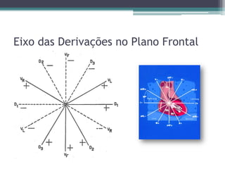 Eixo das Derivações no Plano Frontal
 