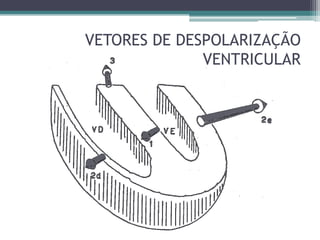 VETORES DE DESPOLARIZAÇÃO
              VENTRICULAR
 