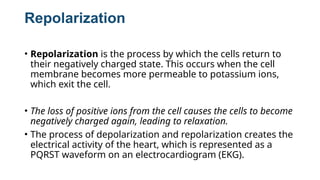 ECG BY DR MARIA aboy the electrocardiogram | PPTX