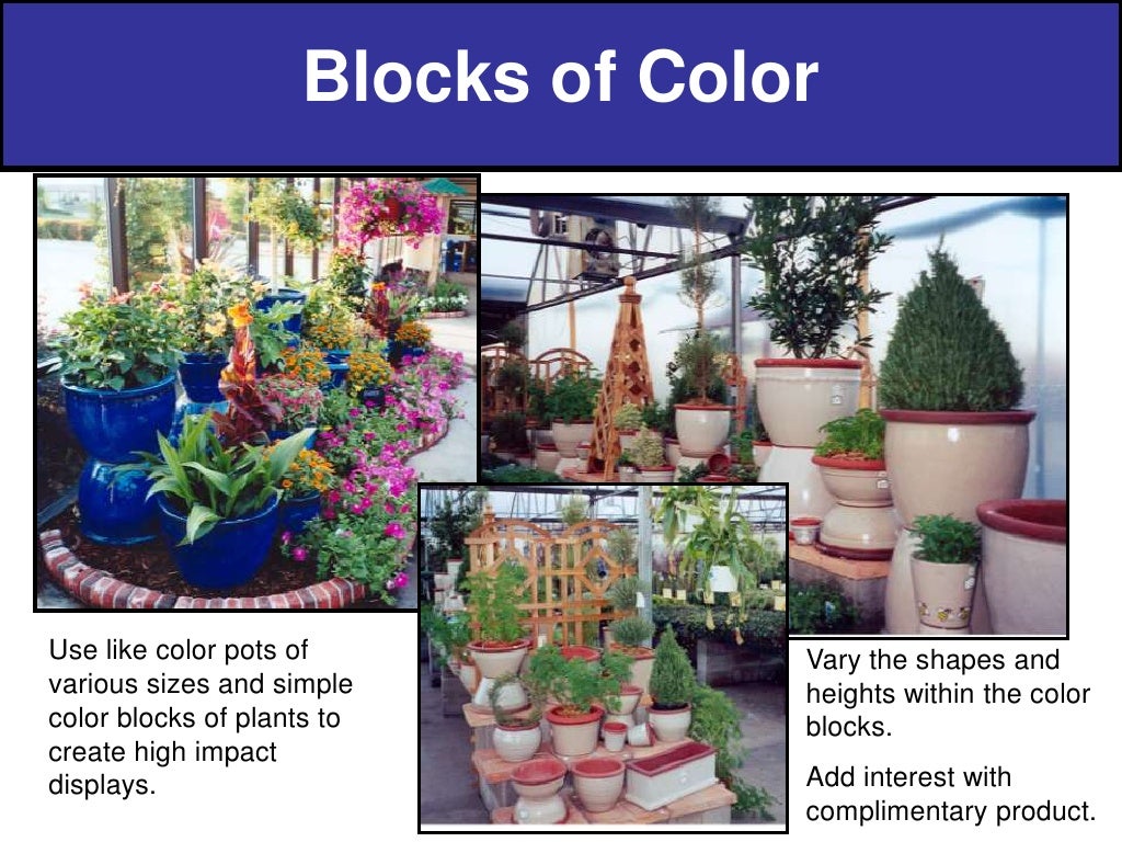 Cardiac case studies with answers picture